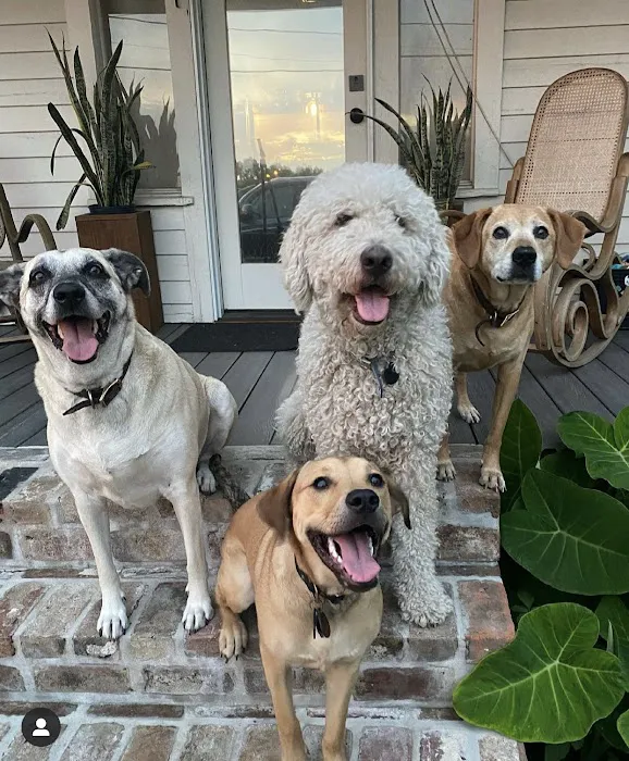 Vetco Total Care Animal Hospital 12