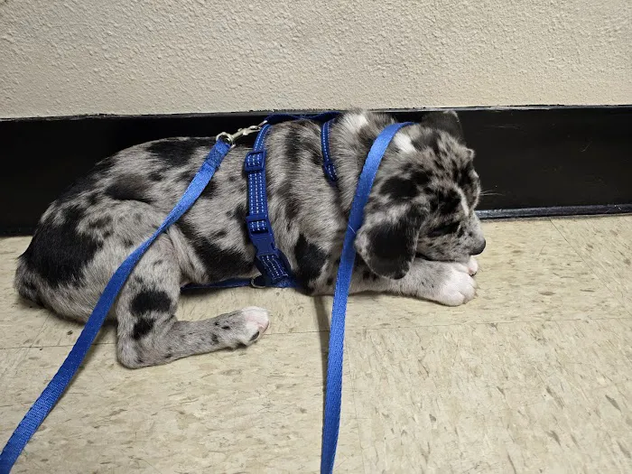 Vetco Total Care Animal Hospital 12