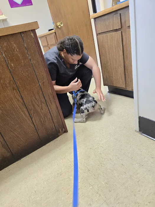Vetco Total Care Animal Hospital 12