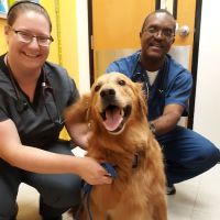 Banfield Pet Hospital ico