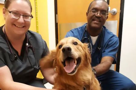 Banfield Pet Hospital