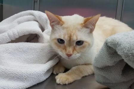 Terry Parkway Animal Hospital