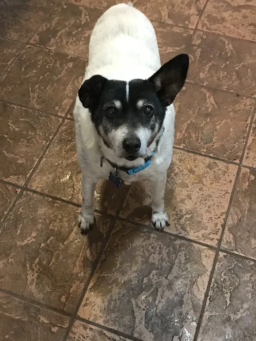 Terry Parkway Animal Hospital 12