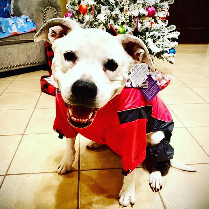 Terry Parkway Animal Hospital 12