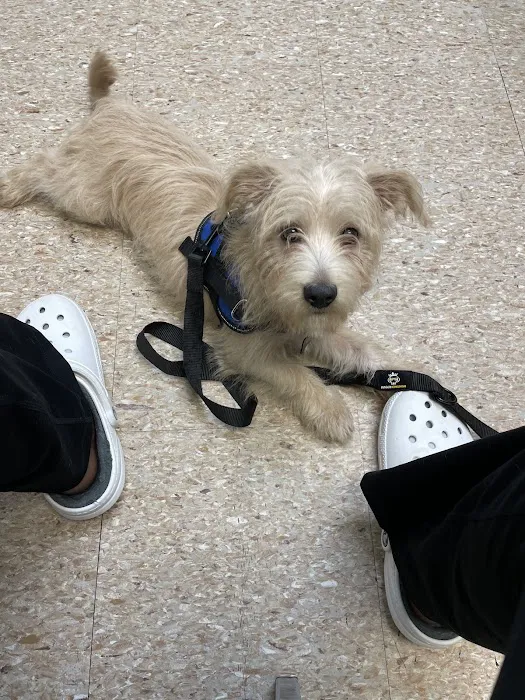 Terry Parkway Animal Hospital 12