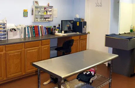 Aurora Companion Animal Hospital 1