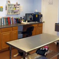 Aurora Companion Animal Hospital ico