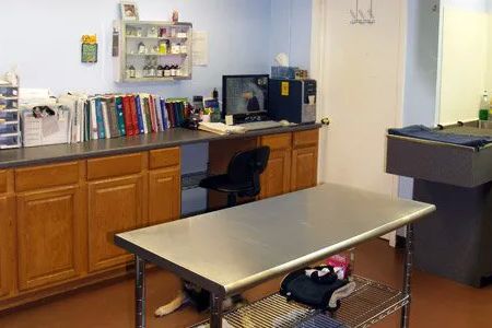 Aurora Companion Animal Hospital