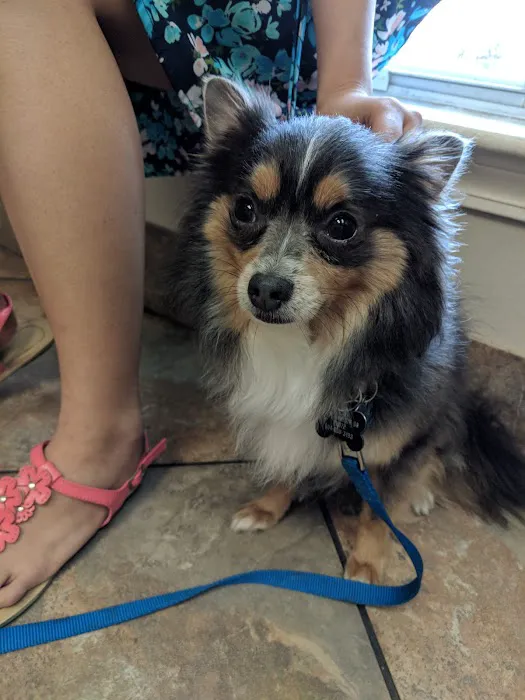 Aurora Companion Animal Hospital 7