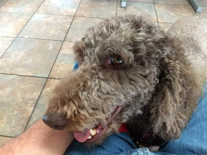 Aurora Companion Animal Hospital 4