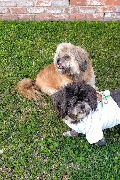 Aurora Companion Animal Hospital 9