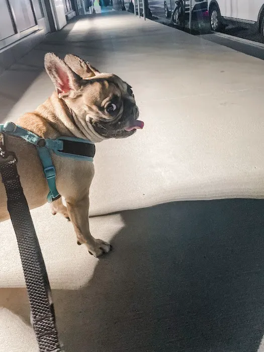 Banfield Pet Hospital 2