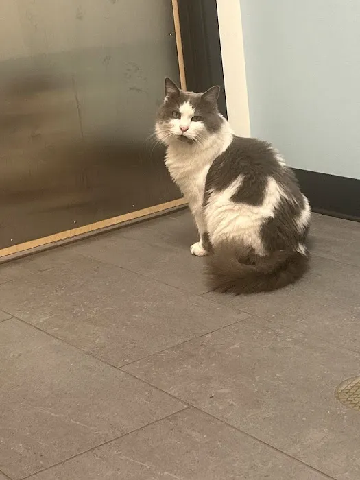 Banfield Pet Hospital 4