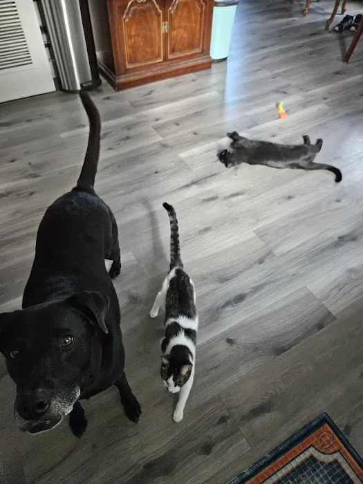 Banfield Pet Hospital 5