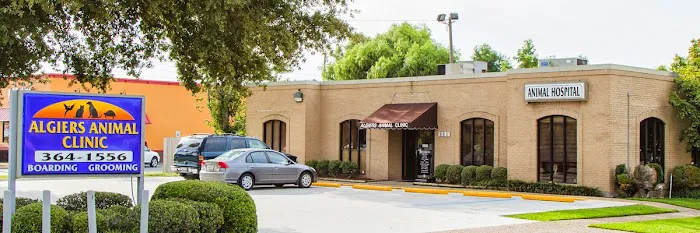 Algiers Animal Clinic: Andrew Gutter DVM 12