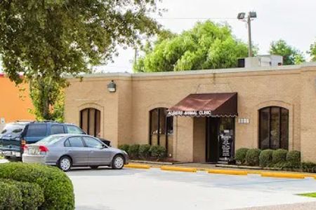 Algiers Animal Clinic: Andrew Gutter DVM