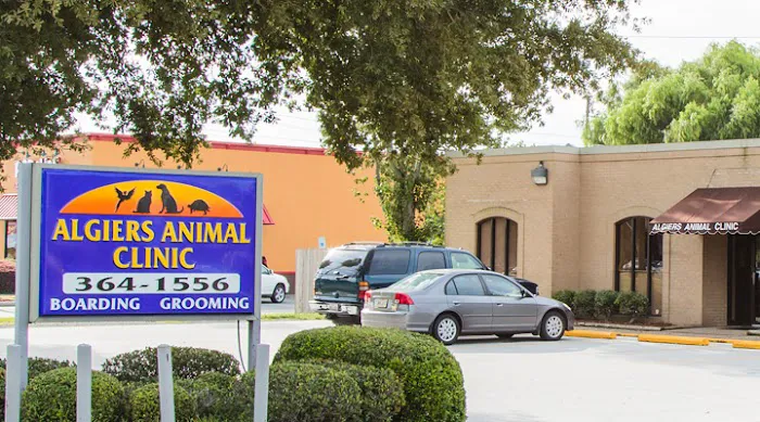 VCA Algiers Animal Hospital 1