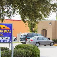 VCA Algiers Animal Hospital ico