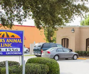 VCA Algiers Animal Hospital