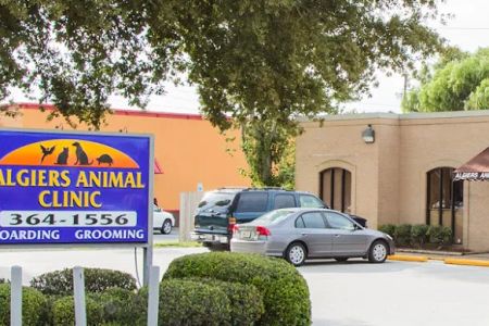 VCA Algiers Animal Hospital