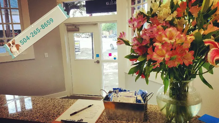 Avenue Animal Wellness + Emergency 5