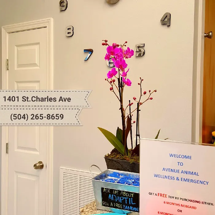 Avenue Animal Wellness + Emergency 9