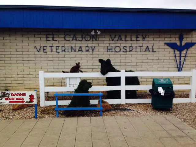 El Cajon Valley Veterinary Hospital 1