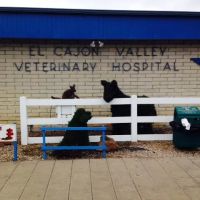 El Cajon Valley Veterinary Hospital ico