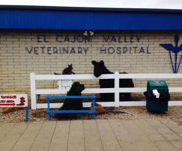 El Cajon Valley Veterinary Hospital