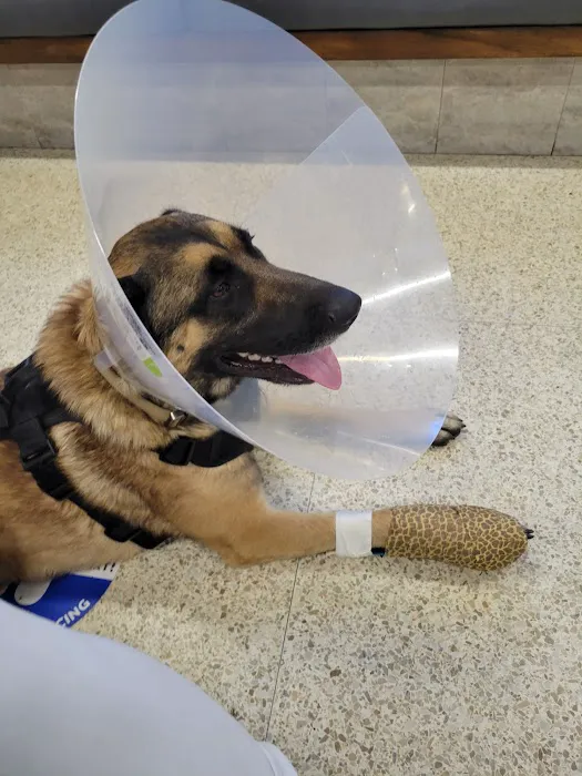 El Cajon Valley Veterinary Hospital 2