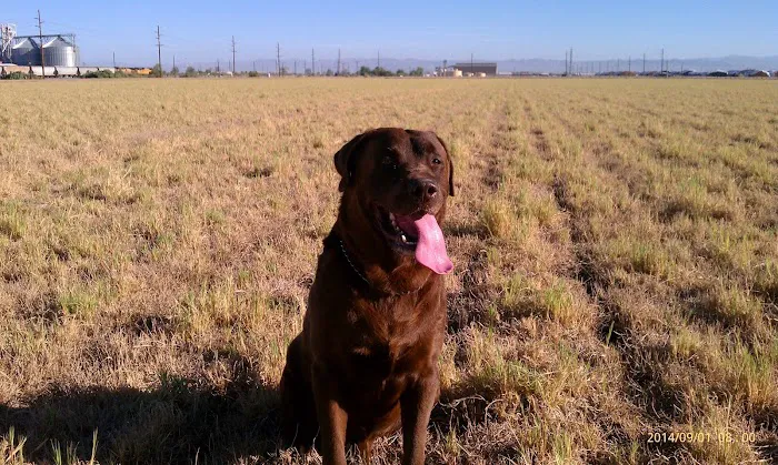El Cajon Valley Veterinary Hospital 5