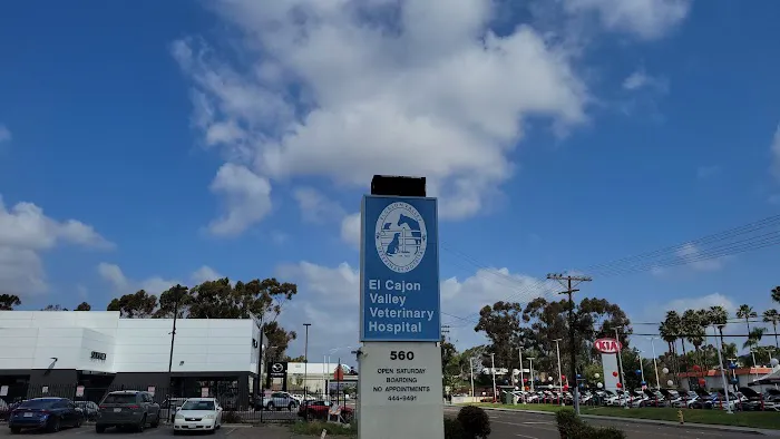 El Cajon Valley Veterinary Hospital 4