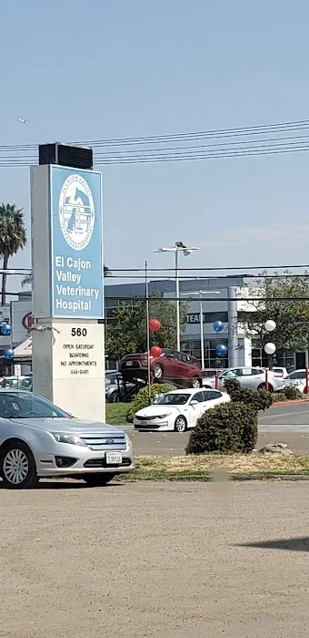 El Cajon Valley Veterinary: Kanchuk Marc L DVM 12