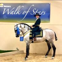 Large Animal Veterinary Associates ico