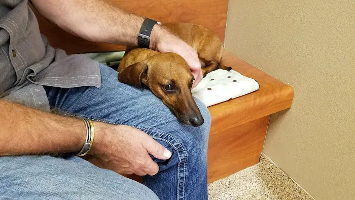 VCA Animal Medical Center of El Cajon 3