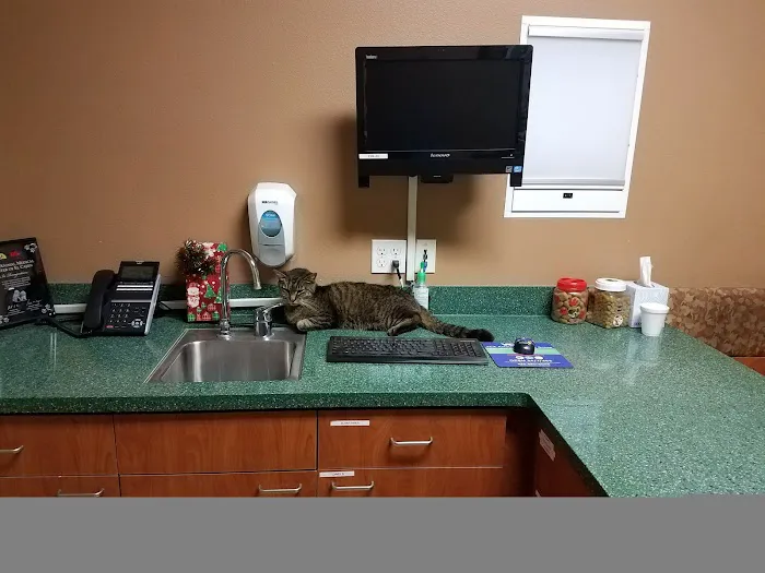 VCA Animal Medical Center of El Cajon 6
