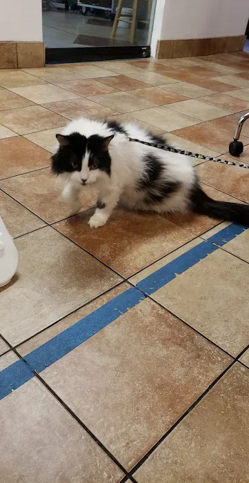 Banfield Pet Hospital 5