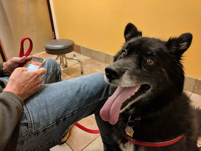 Banfield Pet Hospital 6