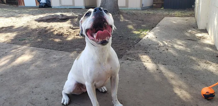 Banfield Pet Hospital 7