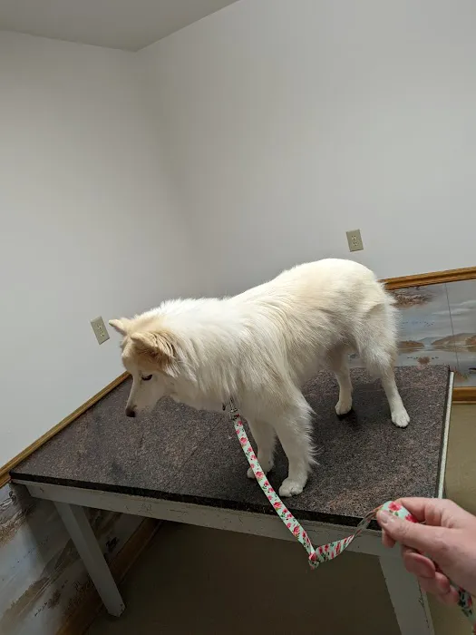 Mt Juliet Animal Clinic 12