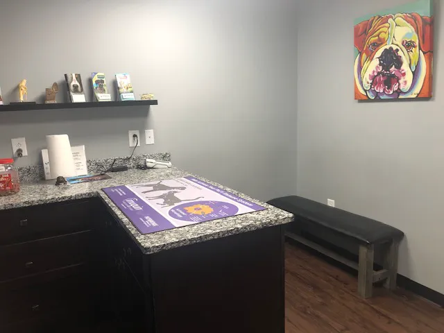 Village Veterinary Hospital 3