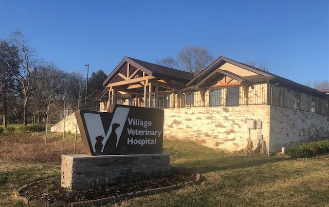Village Veterinary Hospital 4