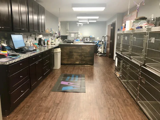 Village Veterinary Hospital 6