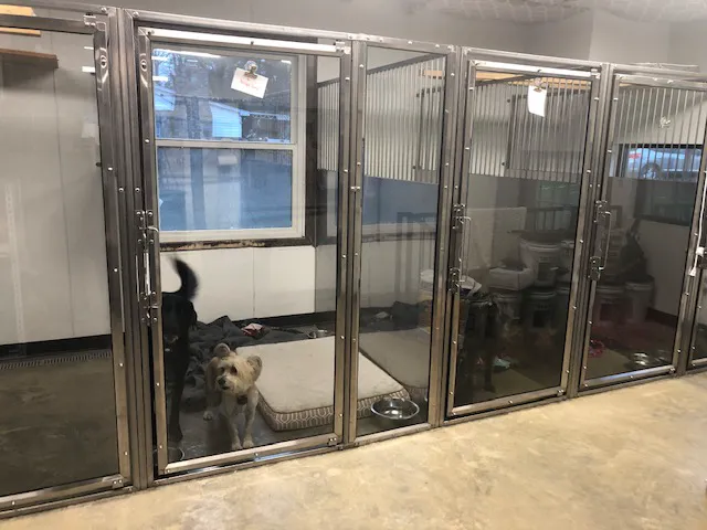 Village Veterinary Hospital 9