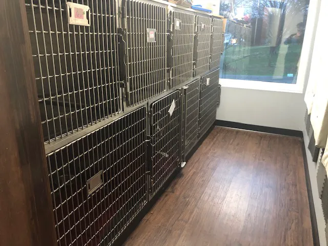 Village Veterinary Hospital 10