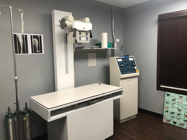 Village Veterinary Hospital 8