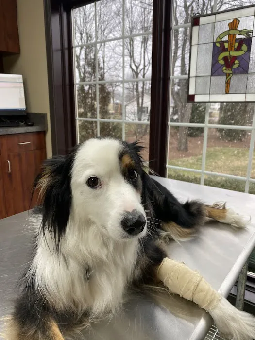 Countryside Animal Hospital Pl 5