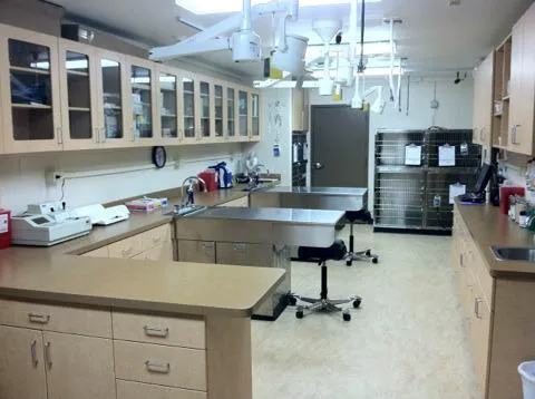 VCA Animal Care Center of Mt. Juliet 4