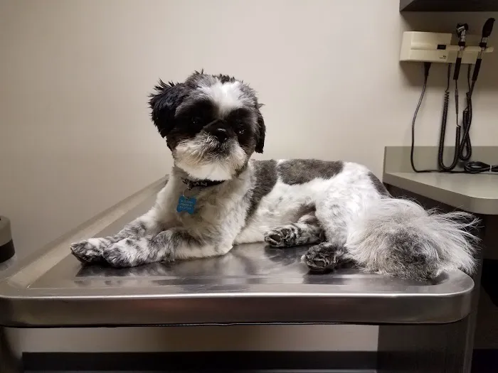 VCA Animal Care Center of Mt. Juliet 5