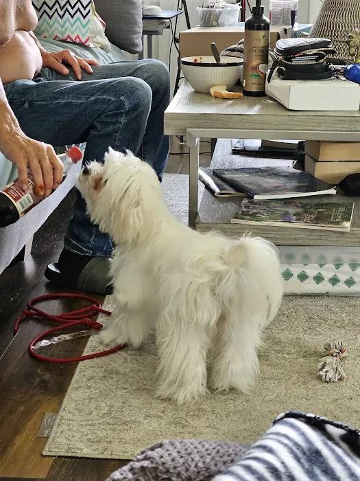VCA Animal Care Center of Mt. Juliet 6